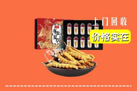 甘南合作市回收冬虫夏草